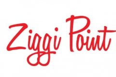 ziggi-point